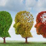 three-stages-of-alzheimers-disease