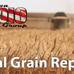 Grain Report