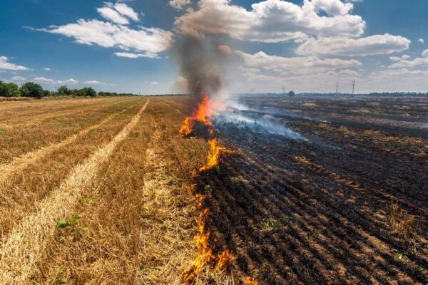 FieldFire23-e1694807751114