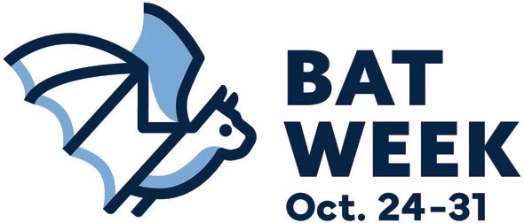 bat-week-2025.jpg