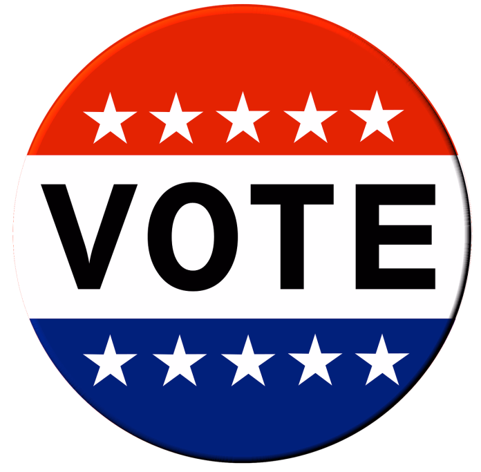 vote-1319435_1280