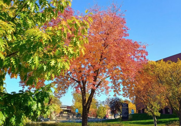 Fall-Colors-Radio-Iowa-photo-980x682