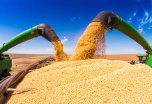 Southeast Iowa farmer reports mixed harvest results amid USDA data gap