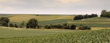 Wisconsin-farmland