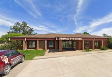 Lawsuit asks whether a wild, rampaging deer is an ‘animal’