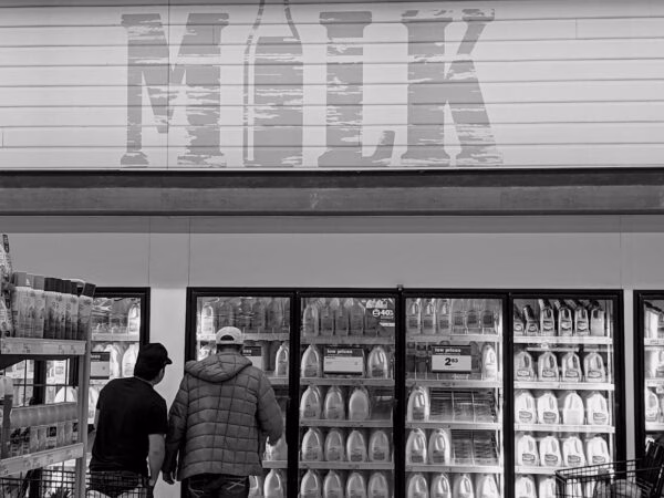 BW-Milk-Dairy-Store_NH-e1759428348440