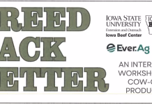 Iowa Beef Center Announces “Breed Back Better” Workshop for Jefferson County Cattle Producers