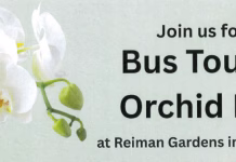 Jefferson County Extension to Host Bus Tour to Orchid Fest at Reiman Gardens