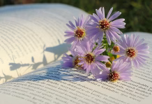 Yehoshua “Joshua” Cohen