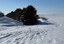 Midwestern drought expected to linger