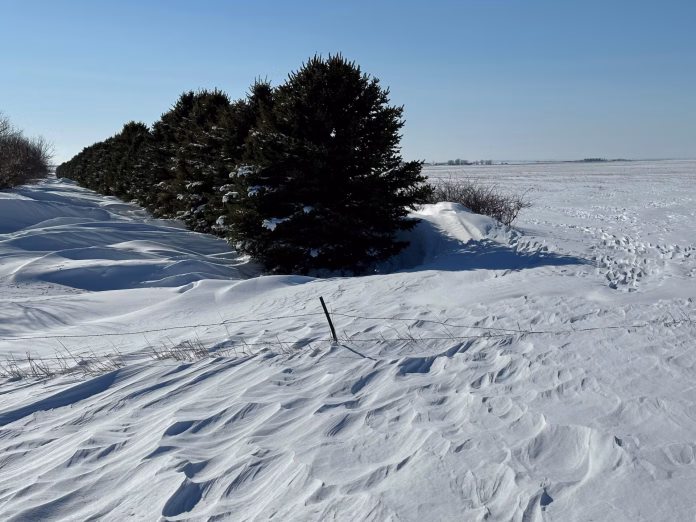 Tregg-Cronin_snow_April_2023