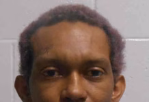 Mount Pleasant Police Department Responds to Domestic Altercation Involving Children