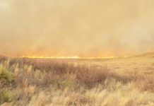 Nearly 300,000 acres burned in Central Plains