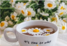 Last Call for RSVPs: Annual Awards Banquet RSVP Deadline is April 3