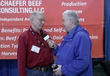 Time is right for new, young cattle producers