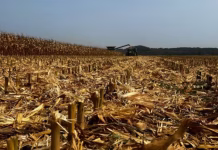 Farmers using microbes to boost yields and profits