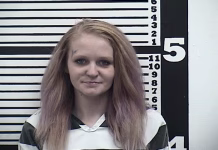 Ottumwa Woman Charged with Felony Drug Possession Following Fairfield Traffic Stop