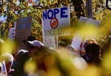 As No Kings protests grow, a bigger question looms: What comes next?