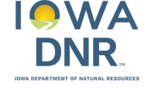 Iowa Communities, Campuses, and Utilities Honored for Urban Forestry Efforts