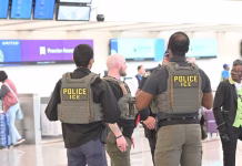 Airport chaos: TSA agents skip work, security lines expand, Trump sends in ICE to assist