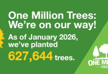 23 communities in Iowa receive grants to plant over 800 trees