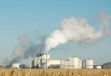 Bioeconomy seen as next major growth market for U.S. ag