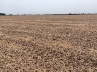 HarvestedILSoybeanField-JW-9-11-24