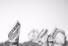 The beef-on-dairy advantage many don’t talk about