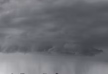 Weather window helped jumpstart sugarbeet planting in the thumb