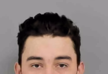 Marion County Investigation Reveals Severe Neglect After Dog’s Death