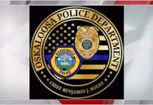 Oskaloosa Police Take Suspect Into Custody After Attempted Break-In at Manufacturing Building