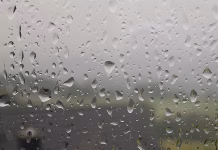 Rain delays planting but improves soil moisture across Iowa