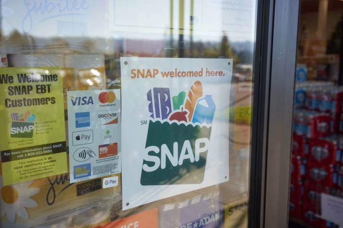 snapbiglots-1536x1024