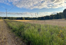 First 5 years of MISTRIPS show benefits for corn and soybean farmers