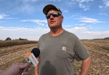 Iowa farmer reports strong corn conditions, slow soybean emergence