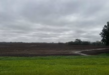 Short, inconsistent planting windows expected in May