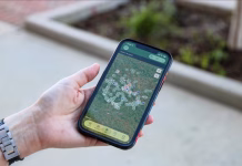 Hidden Adventures: Geocaching in Wapello County