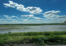 Crop insurance guidance key for farmers recovering from June storms