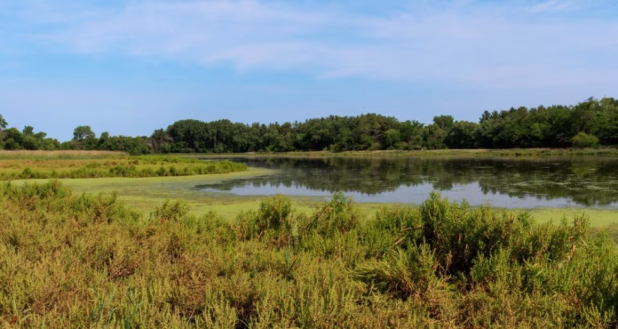 Polk-County-Conservation-photo-by-Steve-Daggs-980x521