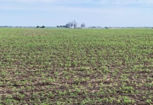 Young farmers say a sharp pencil and diversification key to surviving today’s ag economy