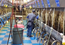 Farm Bureau says Securing Agriculture Workforce Act is critical in addressing labor shortages