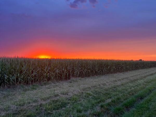 NorthernMO_Corn_July2023-e1690832794233