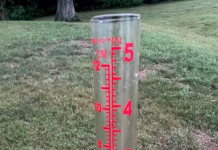 Iowa growers receive rains as July winds down