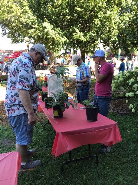 Weed-ID-contest.-ISU-Extension-photo