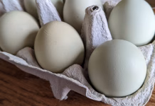 Feds allege Iowa company conspired with others to raise egg prices