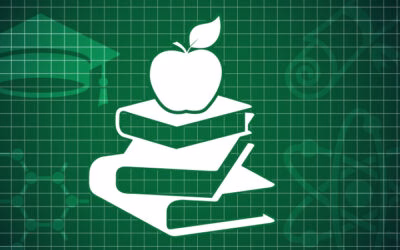 Education_800x450-400x250
