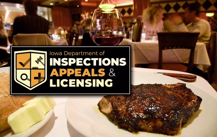dia-inspections