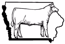 ICA Responds to Foreign Beef Import Announcement