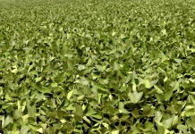 Record heat and dewpoints recorded across Iowa
