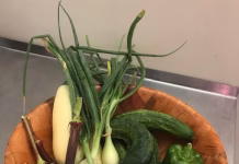 Specialty crop producers encouraged to build strong FSA relationship
